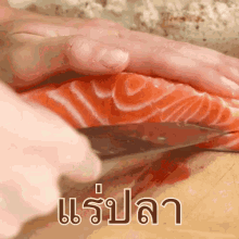 แร่ปลา แซลมอน GIF