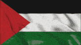 a green white and black flag with a red triangle