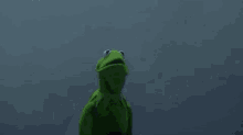 Kermit Shade GIF