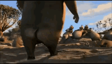 Moto Moto Madagascar GIF - Moto Moto Madagascar I Like Em Chunky - Discover  & Share GIFs