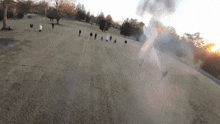 a group of people standing in a field watching a fireworks display