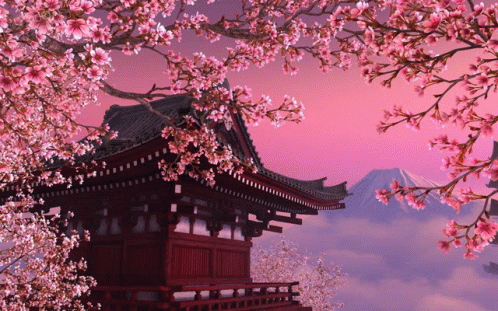 Japan GIF - Japan - Discover & Share GIFs