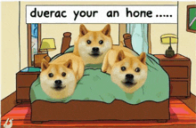 Own The Doge GIF
