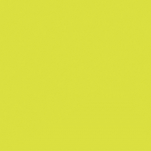 a green and yellow circle with a pixel art drawing of a bird