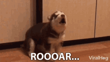 Roar Howl GIF - Roar Howl Awoo GIFs