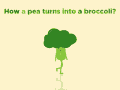 Pea Turns GIF - Pea Turns Broccoli GIFs