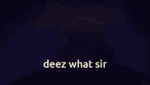Deez What Sir Deez Nuts GIF