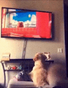 可爱 狗狗 看电视 摇尾巴 GIF - Cute Puppy Dog GIFs