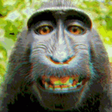 Macaco Louquinho GIF - Macaco Louquinho GIFs