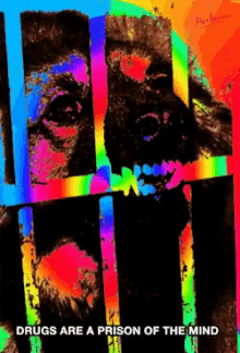 Drugs Are A Prison Of The Mind Dog Bite GIF - Drugs Are A Prison Of The Mind Dog Bite Cage GIFs