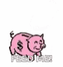 Piggy Bank Coin GIF