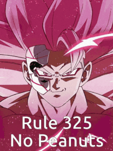 Rule 325 GIF - Rule 325 Rule 325 GIFs