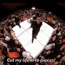 Cut My Life To Pieces Papa Roach GIF - Cut My Life To Pieces Papa Roach Last Resort GIFs
