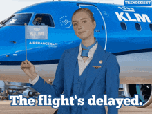 Delayed Flight GIF