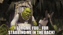 Shrek I Forgive You GIF - Shrek I Forgive You For Stabbing Me In The Back GIFs