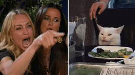 Mad Cat Lady GIF - Mad cat lady Cat - Discover & Share GIFs