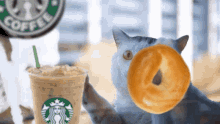 Cat Wiping Cat Wiping Bagel GIF - Cat Wiping Cat Wiping Bagel Cat Starbucks GIFs