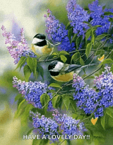 Birds Flowers GIF