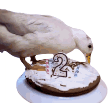 duck cake happy birthday birthday cake duck on cake