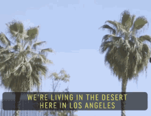 Living In The Desert Los Angeles GIF - Living In The Desert Los Angeles Thirsty GIFs