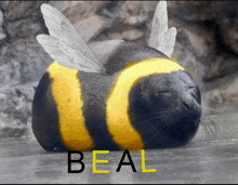 a seal that has been turned into a bee with the word beal below it