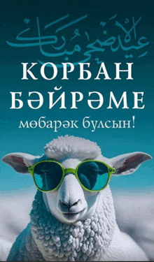 a picture of a sheep wearing sunglasses with a foreign language behind it