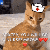 Cat Angry Nurse GIF - Cat Angry Nurse Ratchet GIFs
