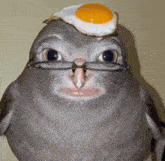 a bird wearing glasses and an egg on its head