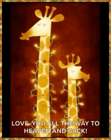 merry christmas happy holidays christmas lights giraffes love you
