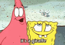 Patrick Star Sponge Bob GIF
