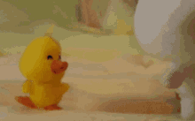 Mofy Duck GIF - Mofy Duck Duckling GIFs
