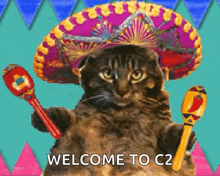 Cat Sombrero GIF - Cat Sombrero Mexican GIFs