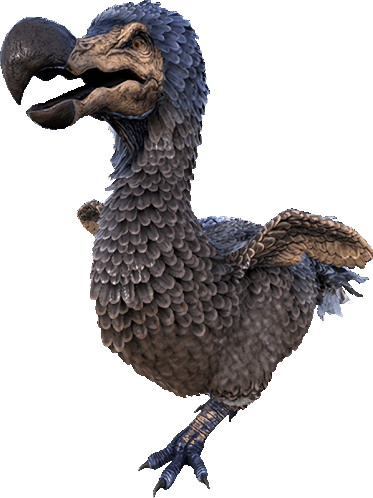 Dodo Bird Sticker - Dodo Bird Stickers
