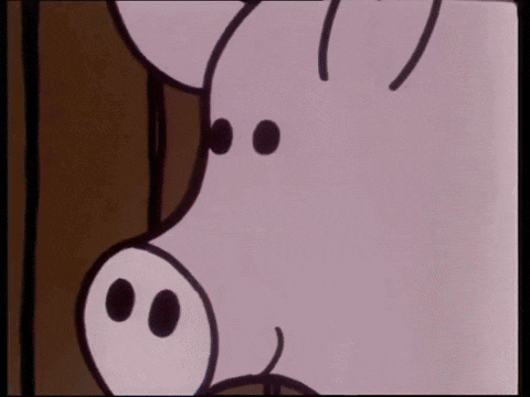 Tiny encounters a pig