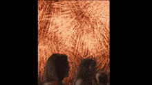 two people are standing in front of a fireworks display .