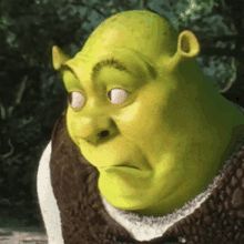 Shrek Shocked GIF - Shrek Shocked OhNo - Discover & Share GIFs