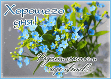 a bouquet of blue flowers with the words " хорошего дня " on it