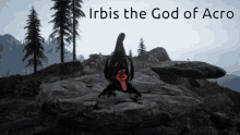 Irbis God Of Acro GIF - Irbis God Of Acro Empresses Acro GIFs
