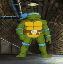 Tmnt Teenage Mutant Ninja Turtles GIF - Tmnt Teenage Mutant Ninja Turtles Leo GIFs