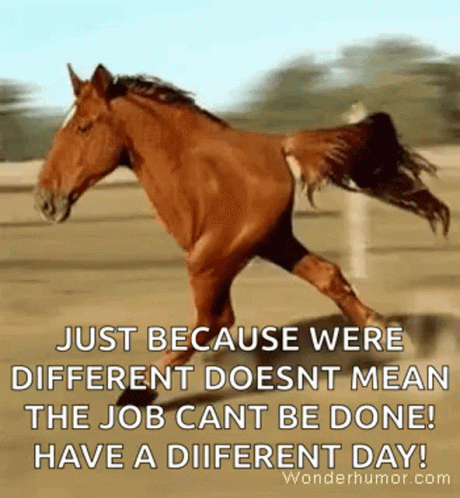 Funny Animals Running GIF - Funny Animals Running Horse - Discover & Share  GIFs