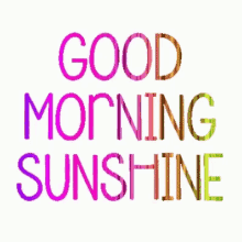 Good Morning Good Morning Sunshine GIF - Good Morning Good Morning Sunshine Good Day GIFs