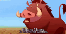 Hakuna Matata GIF - The Lion King Pumbaa Hakuna Matata GIFs