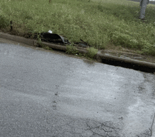 a manhole cover sits on the side of a road next to a grassy field