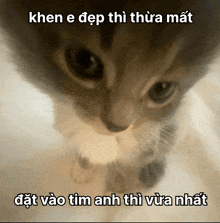 a close up of a cat with a caption that says khen e