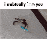 Crab Knife GIF - Crab Knife Crabtually Hate You GIFs
