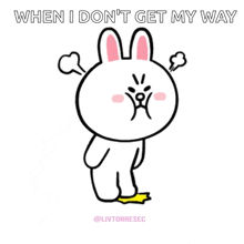 Cony And GIF