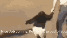 Johnny Monkey GIF - Johnny Monkey Skateboard GIFs