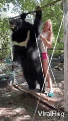 Bear Viralhog GIF - Bear Viralhog Swing GIFs