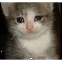 a close up of a cat 's face with a caption that says jhj on it .