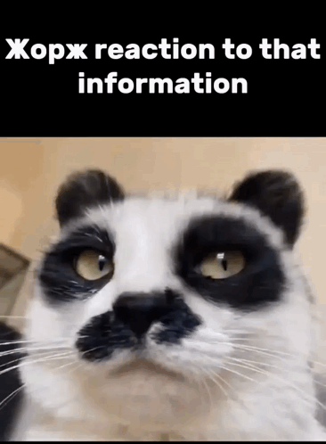 Comment Image